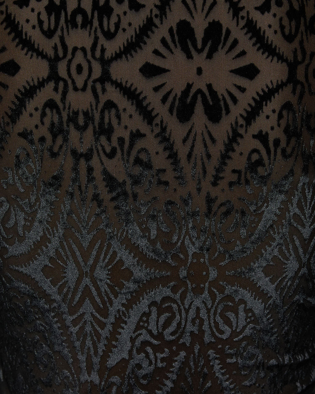 40795-tessy-velvet-burnout-turtleneck-top-1.webp